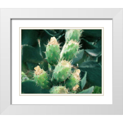 Sharp Needles White Modern Wood Framed Art Print with Double Matting by Alvarez, Cynthia
