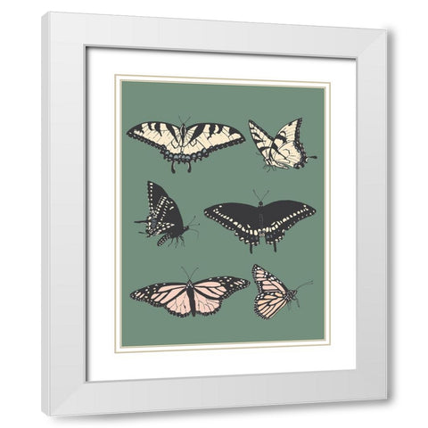 Butterfly Chart White Modern Wood Framed Art Print with Double Matting by Sweet Melody Designs
