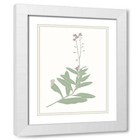 Wildflower Forget Me Nots White Modern Wood Framed Art Print with Double Matting by Sweet Melody Designs