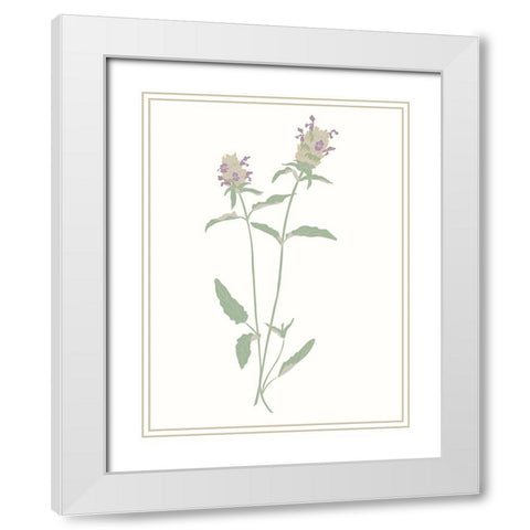 Wildflowers Heal All White Modern Wood Framed Art Print with Double Matting by Sweet Melody Designs