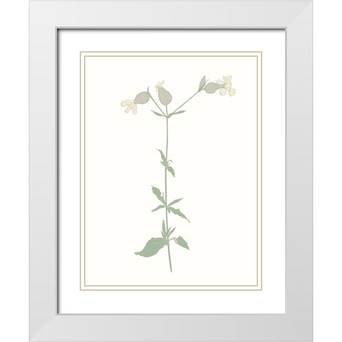 Wildflower Champion White Modern Wood Framed Art Print with Double Matting by Sweet Melody Designs