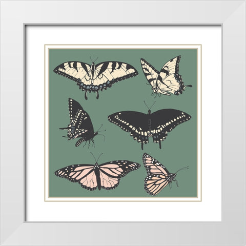 Butterfly Chart White Modern Wood Framed Art Print with Double Matting by Sweet Melody Designs