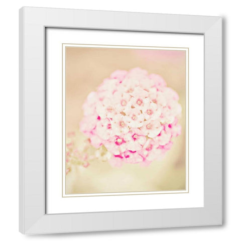 Pink Flower Ball White Modern Wood Framed Art Print with Double Matting by Davis Ashley