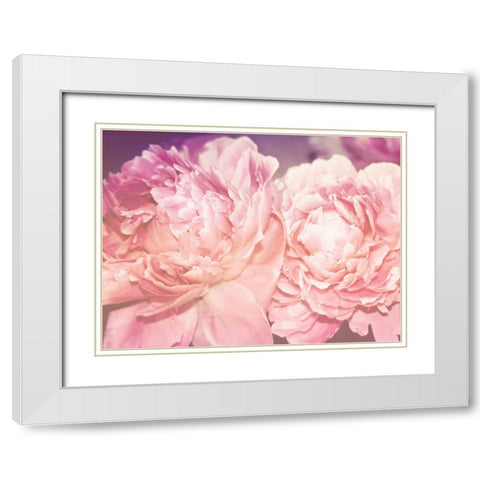 Pink Peony White Modern Wood Framed Art Print with Double Matting by Davis Ashley