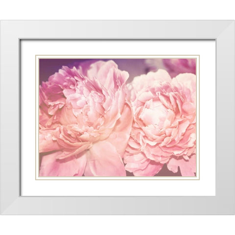 Pink Peony White Modern Wood Framed Art Print with Double Matting by Davis Ashley