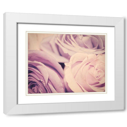 Purple vintage roses White Modern Wood Framed Art Print with Double Matting by Davis Ashley