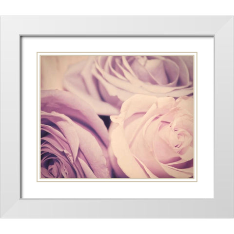 Purple vintage roses White Modern Wood Framed Art Print with Double Matting by Davis Ashley