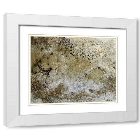 Fissures 2 White Modern Wood Framed Art Print with Double Matting by Brown, Denise