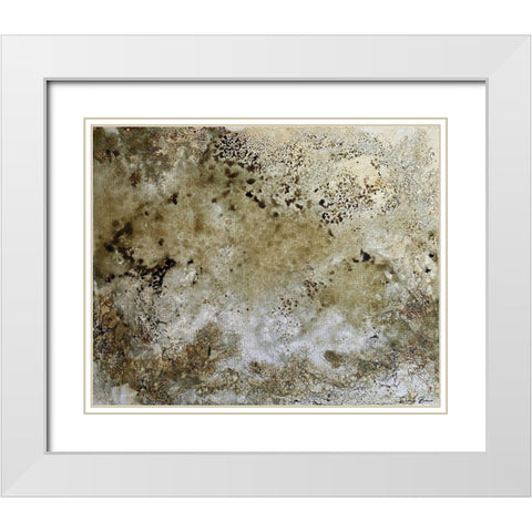 Fissures 2 White Modern Wood Framed Art Print with Double Matting by Brown, Denise