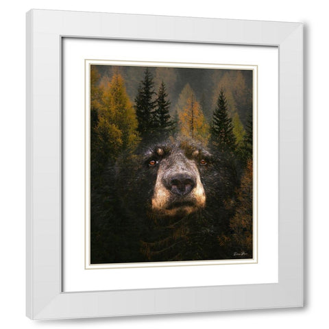 Through The Trees White Modern Wood Framed Art Print with Double Matting by Brown, Denise