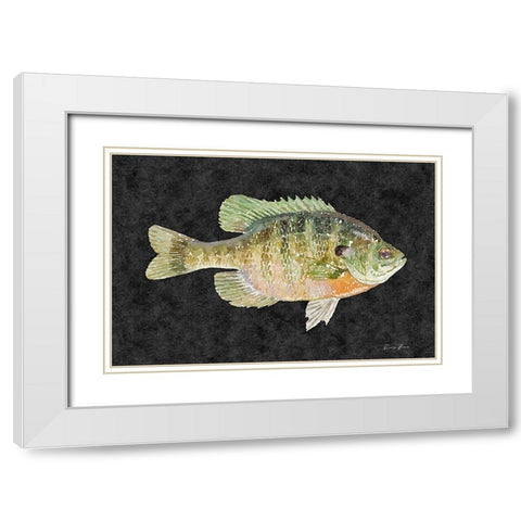 Blue Gill White Modern Wood Framed Art Print with Double Matting by Brown, Denise