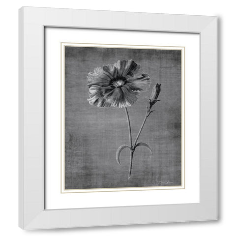 Tranquil Botanical 3 White Modern Wood Framed Art Print with Double Matting by Brown, Denise