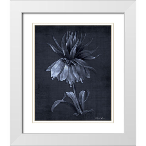 Botanical Edge 4 White Modern Wood Framed Art Print with Double Matting by Brown, Denise