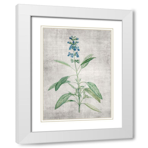 Blue Botanical 1 White Modern Wood Framed Art Print with Double Matting by Brown, Denise