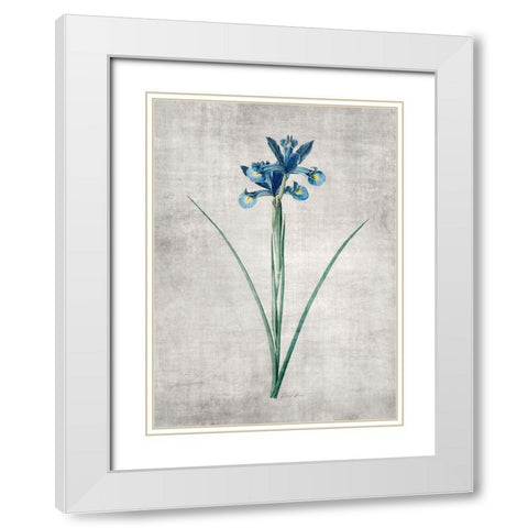 Blue Botanical 2 White Modern Wood Framed Art Print with Double Matting by Brown, Denise