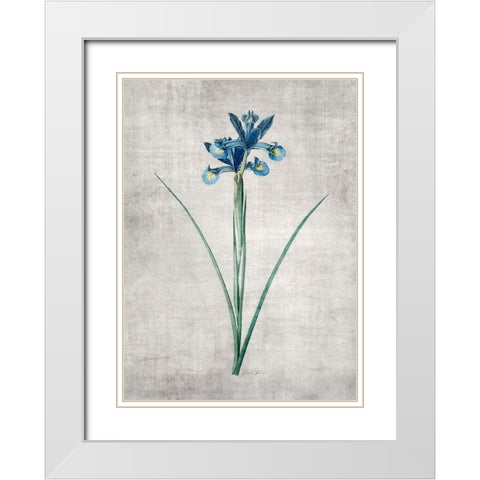 Blue Botanical 2 White Modern Wood Framed Art Print with Double Matting by Brown, Denise