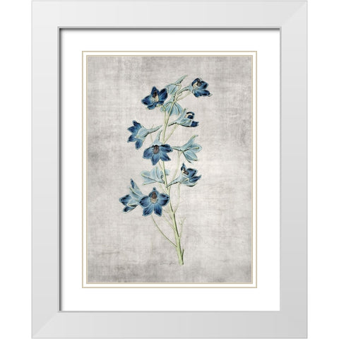 Blue Botanical 3 White Modern Wood Framed Art Print with Double Matting by Brown, Denise