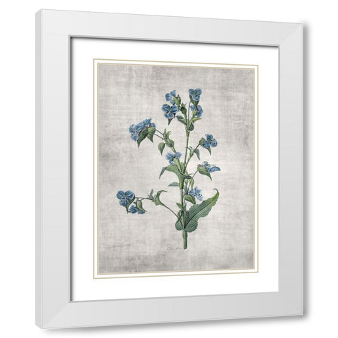 Blue Botanical 4 White Modern Wood Framed Art Print with Double Matting by Brown, Denise