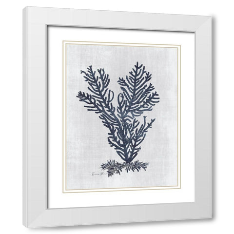Sea Fan 2 v2 White Modern Wood Framed Art Print with Double Matting by Brown, Denise