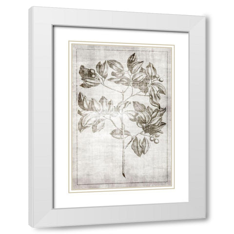 Antique Palm 2 White Modern Wood Framed Art Print with Double Matting by Brown, Denise