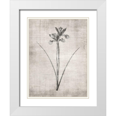 Sepia Botanical 2 White Modern Wood Framed Art Print with Double Matting by Brown, Denise