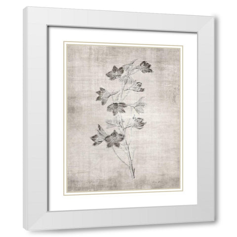 Sepia Botanical 3 White Modern Wood Framed Art Print with Double Matting by Brown, Denise