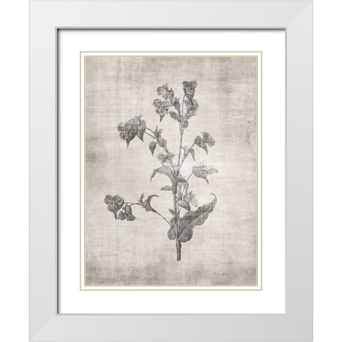 Sepia Botanical 4 White Modern Wood Framed Art Print with Double Matting by Brown, Denise