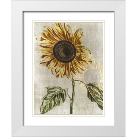 Sunflower 1 White Modern Wood Framed Art Print with Double Matting by Brown, Denise