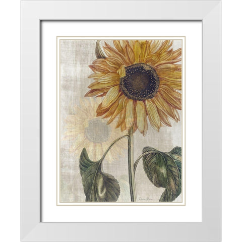 Sunflower 2 White Modern Wood Framed Art Print with Double Matting by Brown, Denise