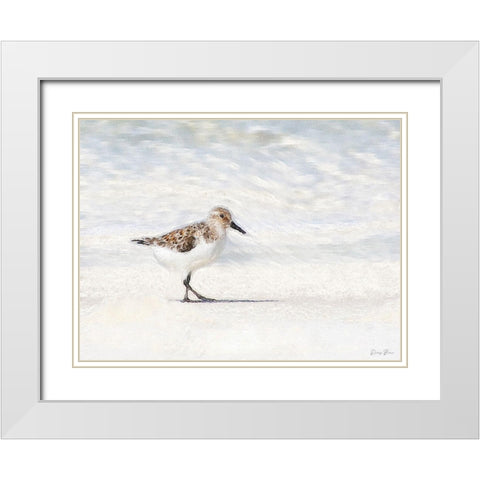 Sandpiper White Modern Wood Framed Art Print with Double Matting by Brown, Denise