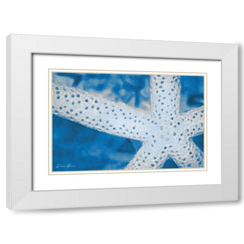 Star Fish White Modern Wood Framed Art Print with Double Matting by Brown, Denise