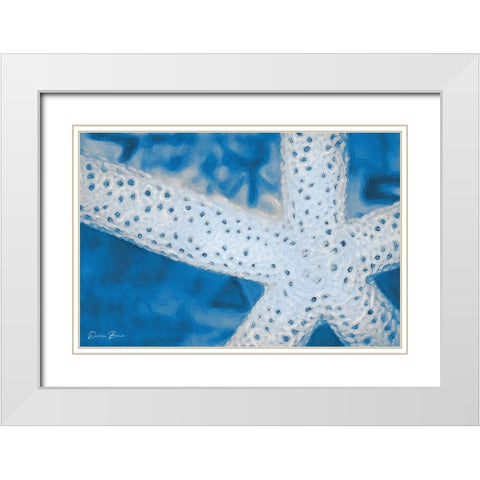 Star Fish White Modern Wood Framed Art Print with Double Matting by Brown, Denise