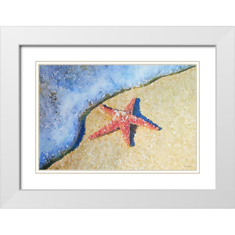 Washed on Shore White Modern Wood Framed Art Print with Double Matting by Brown, Denise