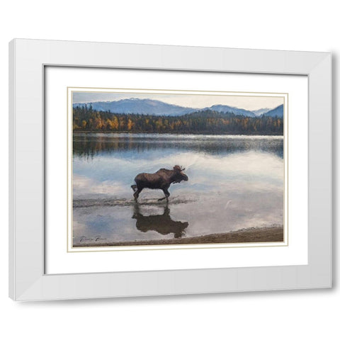 Moose White Modern Wood Framed Art Print with Double Matting by Brown, Denise