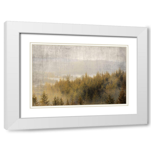 Pine Tops White Modern Wood Framed Art Print with Double Matting by Brown, Denise