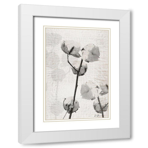 Cotton Stem 2 White Modern Wood Framed Art Print with Double Matting by Brown, Denise
