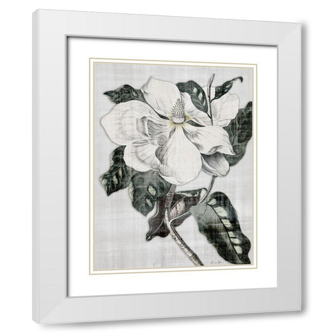 Southern Magnolia 1 White Modern Wood Framed Art Print with Double Matting by Brown, Denise