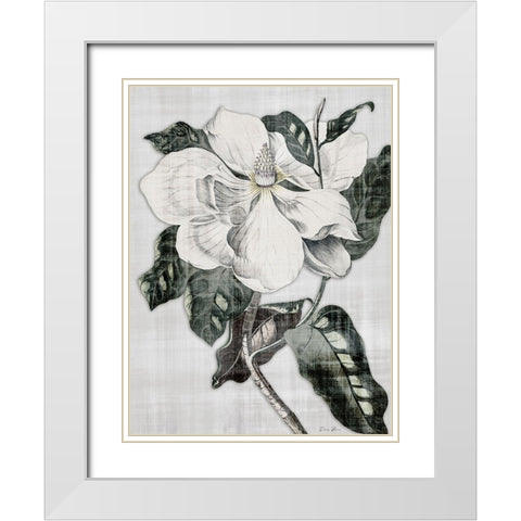 Southern Magnolia 1 White Modern Wood Framed Art Print with Double Matting by Brown, Denise