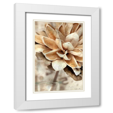 Magnolia 1 White Modern Wood Framed Art Print with Double Matting by Brown, Denise