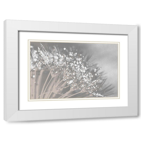 Dandelion 2 White Modern Wood Framed Art Print with Double Matting by Brown, Denise