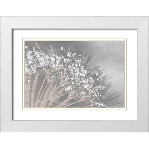 Dandelion 2 White Modern Wood Framed Art Print with Double Matting by Brown, Denise