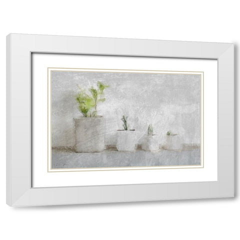 Small Greenery White Modern Wood Framed Art Print with Double Matting by Brown, Denise