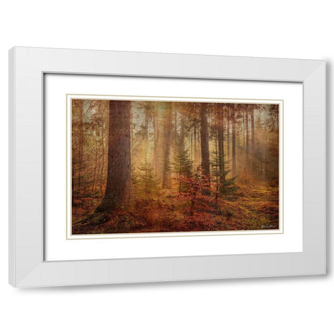 From the Heavens White Modern Wood Framed Art Print with Double Matting by Brown, Denise