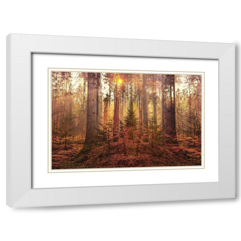 Sanctuary White Modern Wood Framed Art Print with Double Matting by Brown, Denise