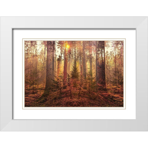 Sanctuary White Modern Wood Framed Art Print with Double Matting by Brown, Denise