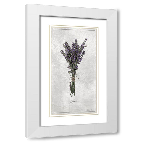 Lavender 1 White Modern Wood Framed Art Print with Double Matting by Brown, Denise