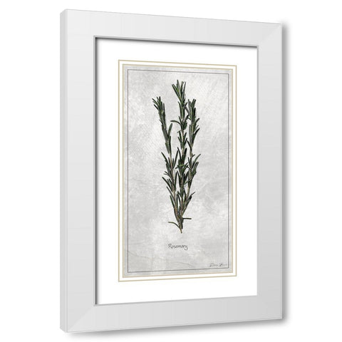 Rosemary 1 White Modern Wood Framed Art Print with Double Matting by Brown, Denise