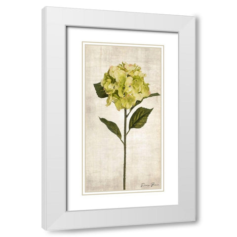 Stem 2 White Modern Wood Framed Art Print with Double Matting by Brown, Denise