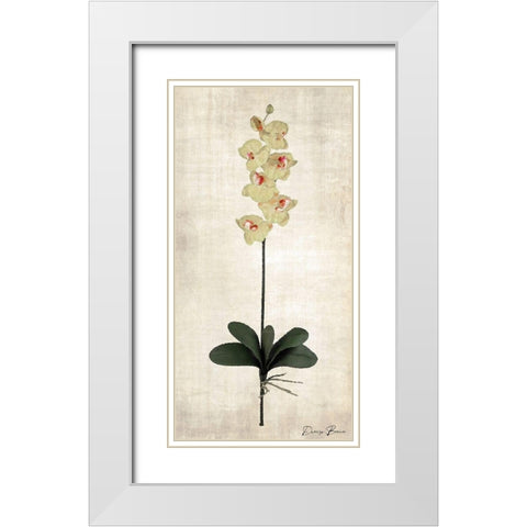 Stem 3 White Modern Wood Framed Art Print with Double Matting by Brown, Denise