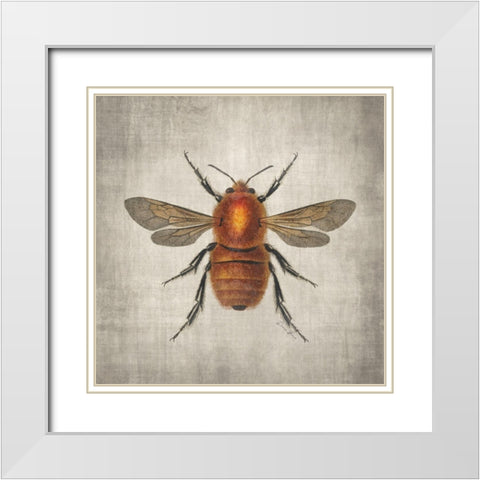 Brilliant Bee 1 White Modern Wood Framed Art Print with Double Matting by Brown, Denise